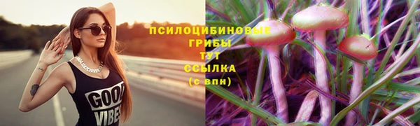 бошки Алексин