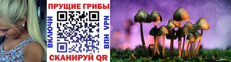 купить  цена  Южно-Сахалинск  mega ССЫЛКА  Псилоцибиновые грибы GOLDEN TEACHER 