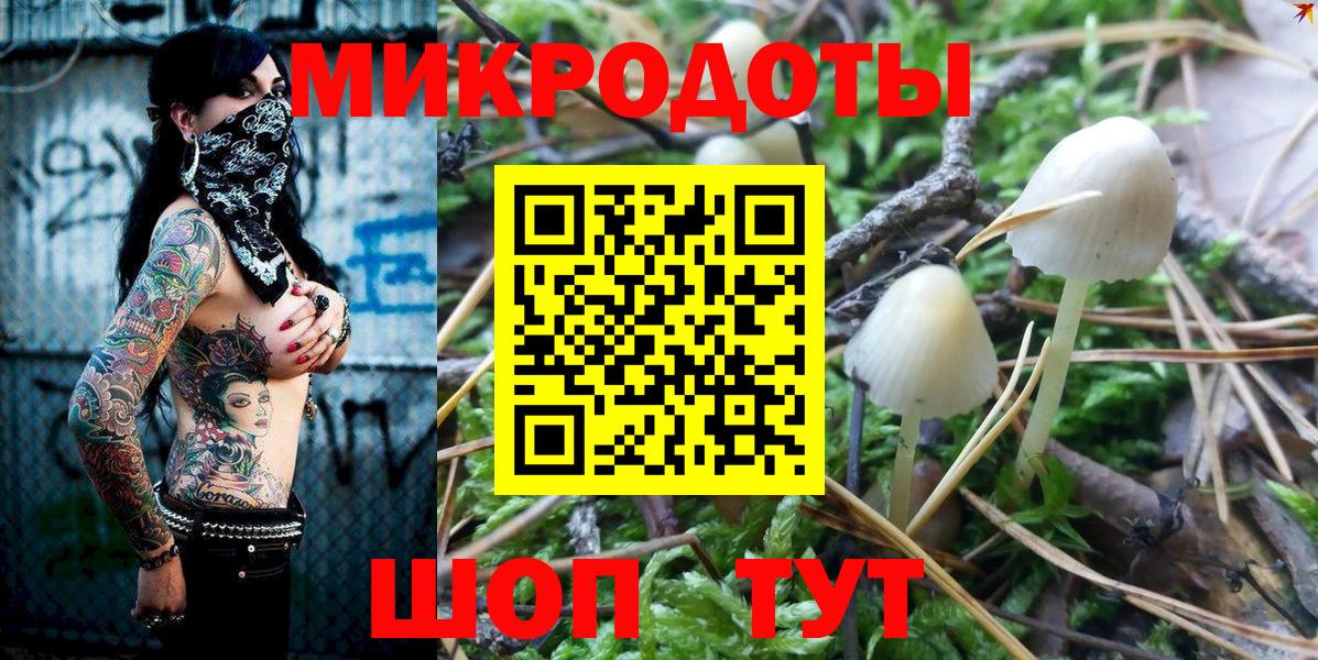 Псилоцибиновые грибы Psilocybine cubensis Южно-Сахалинск